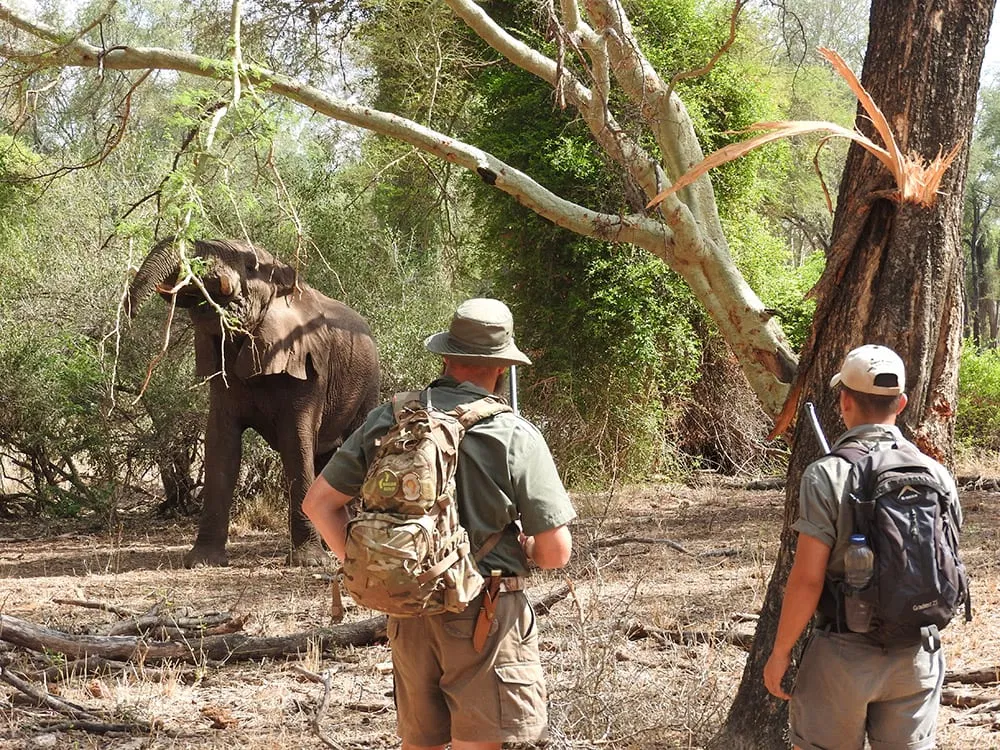 FGASA Trails Guide EcoTraining Kruger Park Makuleke