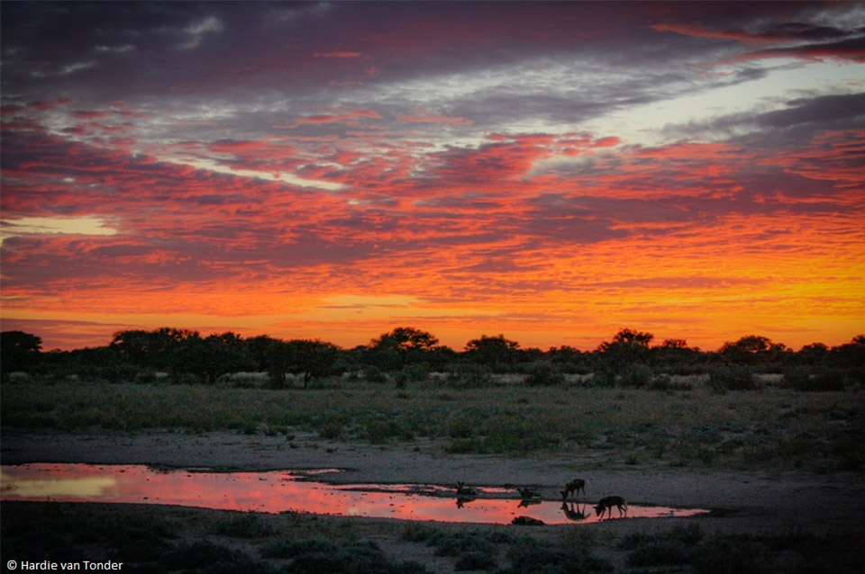 Sunset - Krugerparksafariscout.com